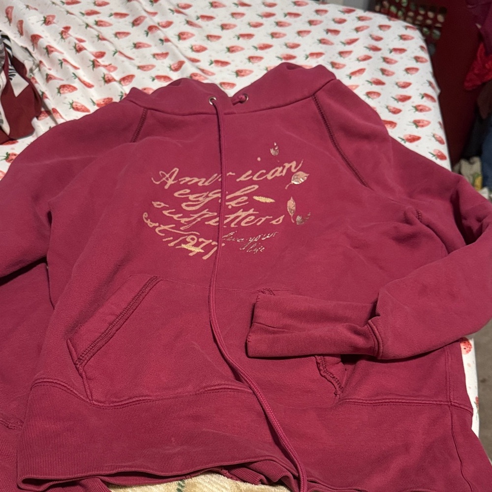 American Eagle Outfitters Maroon Hoodie with Gold Script